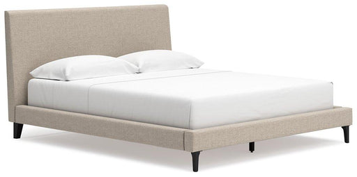 Cielden Upholstered Bed with Roll Slats - Holmwood's Furniture & Design Center (Somersworth, NH)