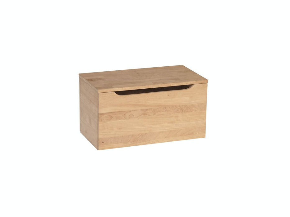 John Thomas Unfinished 22'' Storage Chest image