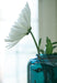 Inisland Vase - Holmwood's Furniture & Design Center (Somersworth, NH)