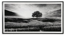 Deborland Wall Art - Holmwood's Furniture & Design Center (Somersworth, NH)