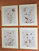 Chettings Wall Art (Set of 4) - Holmwood's Furniture & Design Center (Somersworth, NH)