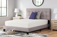 Chime 12 Inch Memory Foam Mattress in a Box - Holmwood's Furniture & Design Center (Somersworth, NH)