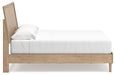 Cielden Bedroom Set - Holmwood's Furniture & Design Center (Somersworth, NH)