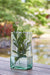 Taylow Vase - Holmwood's Furniture & Design Center (Somersworth, NH)