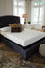 Chime 8 Inch Memory Foam Mattress in a Box - Holmwood's Furniture & Design Center (Somersworth, NH)