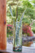 Taylow Vase - Holmwood's Furniture & Design Center (Somersworth, NH)