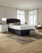 Chime 12 Inch Memory Foam Mattress in a Box - Holmwood's Furniture & Design Center (Somersworth, NH)
