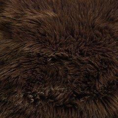 Bellethrone Pillow - Holmwood's Furniture & Design Center (Somersworth, NH)