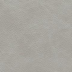 Amiata Upholstery Package - Holmwood's Furniture & Design Center (Somersworth, NH)