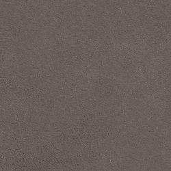 Darcy Sofa - Holmwood's Furniture & Design Center (Somersworth, NH)