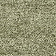 Tamish Throw - Holmwood's Furniture & Design Center (Somersworth, NH)