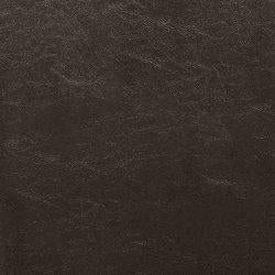 Kimonte Dining Chair Set - Holmwood's Furniture & Design Center (Somersworth, NH)