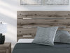 Graystorm Bed with Storage - Holmwood's Furniture & Design Center (Somersworth, NH)