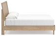 Cielden Bedroom Set - Holmwood's Furniture & Design Center (Somersworth, NH)