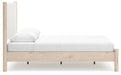 Cadmori Upholstered Bed - Holmwood's Furniture & Design Center (Somersworth, NH)