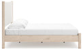 Cadmori Upholstered Bed - Holmwood's Furniture & Design Center (Somersworth, NH)