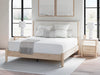 Cadmori Upholstered Bed - Holmwood's Furniture & Design Center (Somersworth, NH)