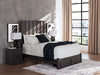 Fraluna Bed - Holmwood's Furniture & Design Center (Somersworth, NH)