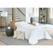 BAYMENT CHAIR & HALF W/TWIN SLEEPER- C13TE - Holmwood's Furniture & Design Center (Somersworth, NH)
