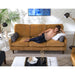 TREVIN COLLECTION LEATHER STATIONARY SOFA W/2 PILLOWS- S38RLU - Holmwood's Furniture & Design Center (Somersworth, NH)
