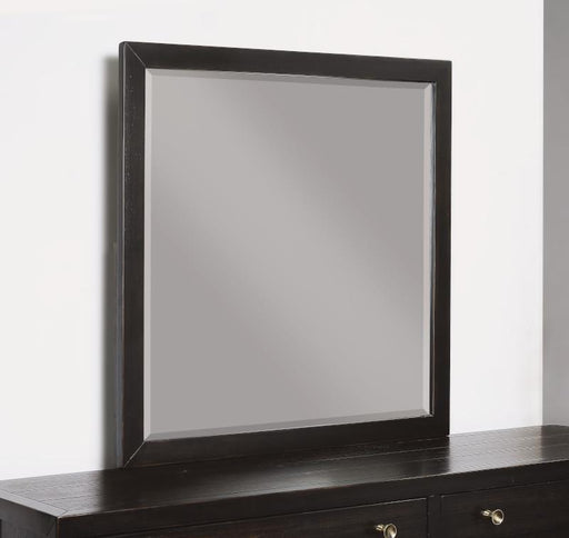 Flexsteel Wynwood Cologne Mirror in Dark Brown - Holmwood's Furniture & Design Center (Somersworth, NH)