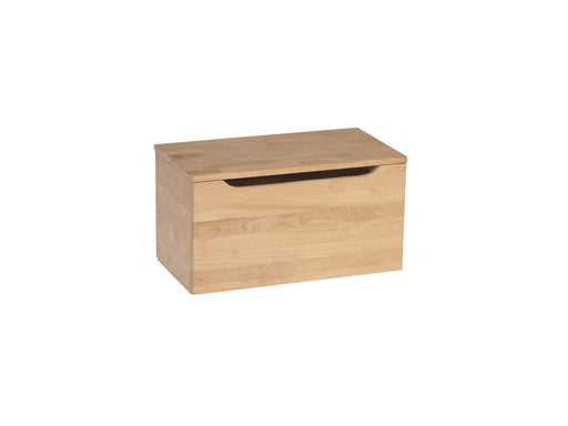 Juvenile 22'' Storage Chest / Toy Chest - Holmwood's Furniture & Design Center (Somersworth, NH)