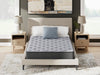 Comfort Plus Mattress - Holmwood's Furniture & Design Center (Somersworth, NH)