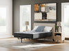 Comfort Plus Mattress - Holmwood's Furniture & Design Center (Somersworth, NH)