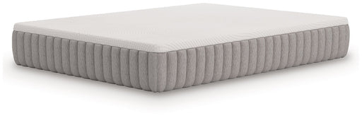Terra Sleep Medium Mattress - Holmwood's Furniture & Design Center (Somersworth, NH)