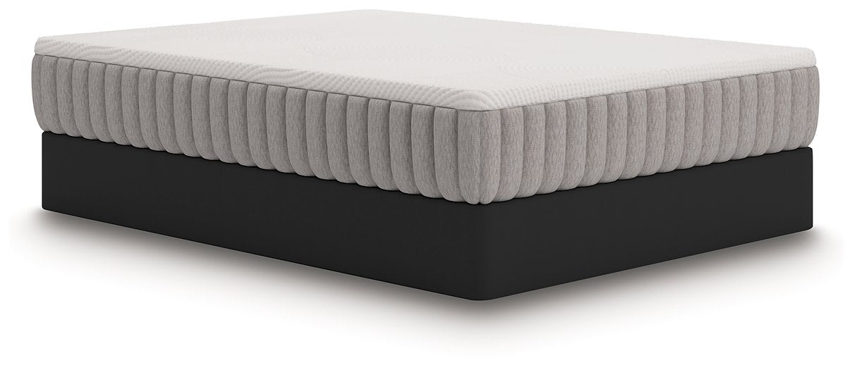 Terra Sleep Medium Mattress - Holmwood's Furniture & Design Center (Somersworth, NH)