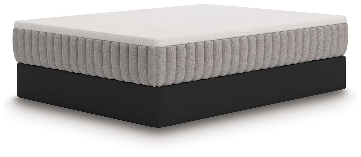 Terra Sleep Medium Mattress - Holmwood's Furniture & Design Center (Somersworth, NH)