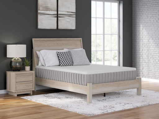 Terra Sleep Medium Mattress - Holmwood's Furniture & Design Center (Somersworth, NH)