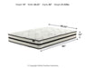 Chime 10 Inch Hybrid 10 Inch Mattress and Pillow - Holmwood's Furniture & Design Center (Somersworth, NH)