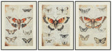 Jossletts Wall Art (Set of 3) - Holmwood's Furniture & Design Center (Somersworth, NH)