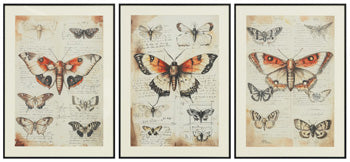 Jossletts Wall Art (Set of 3) - Holmwood's Furniture & Design Center (Somersworth, NH)