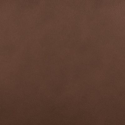 Pincara Power AutoGlide Recliner - Holmwood's Furniture & Design Center (Somersworth, NH)