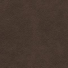 Crossplex Power Recliner - Holmwood's Furniture & Design Center (Somersworth, NH)