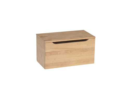John Thomas Unfinished 22'' Storage Chest image