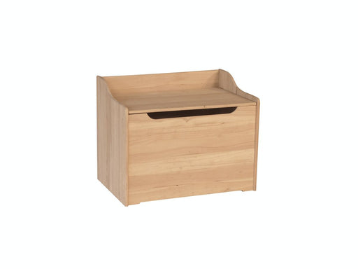 John Thomas Unfinished 29'' Storage Chest image